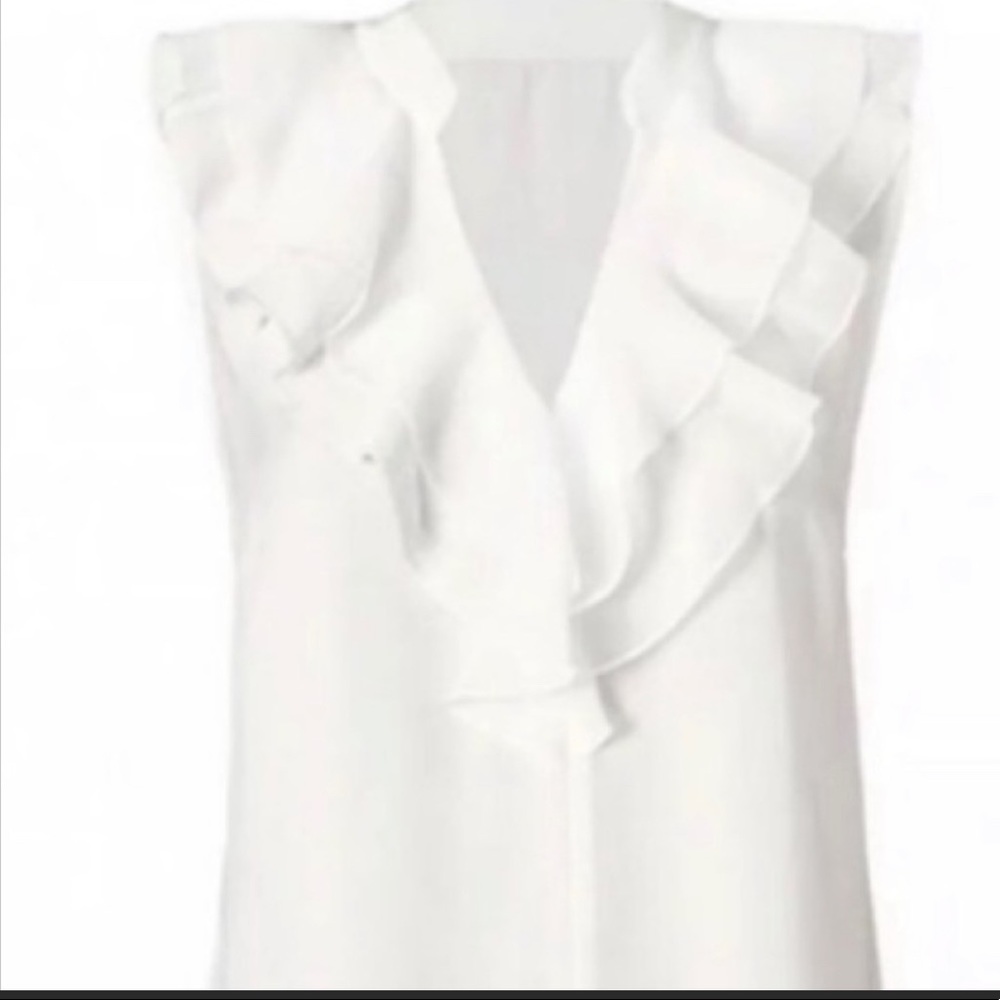 | CAbi 3979 Portrait Blouse - Picture 3 of 7